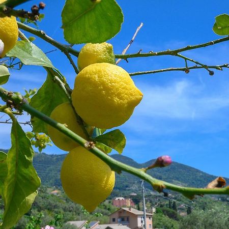 Casa Limoni Monterosso al Mare Exterior foto